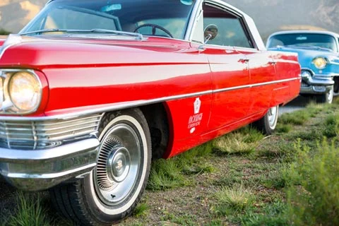 Things to do in Montagu: American Dream Cars Things to do in Montagu: American Dream Cars