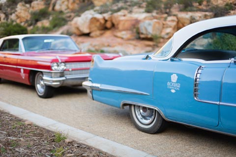 Things To Do In Montagu: American Dream Cars