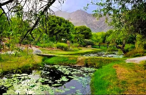 Pond and indigenous garden at Montagu Nature Garden with mountain views in the background